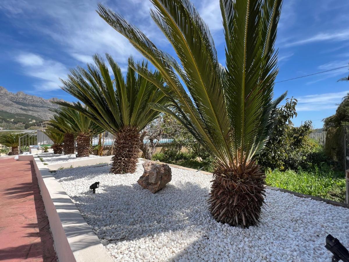 Casa Rural Altaret Callosa de Ensarriá Kültér fotó
