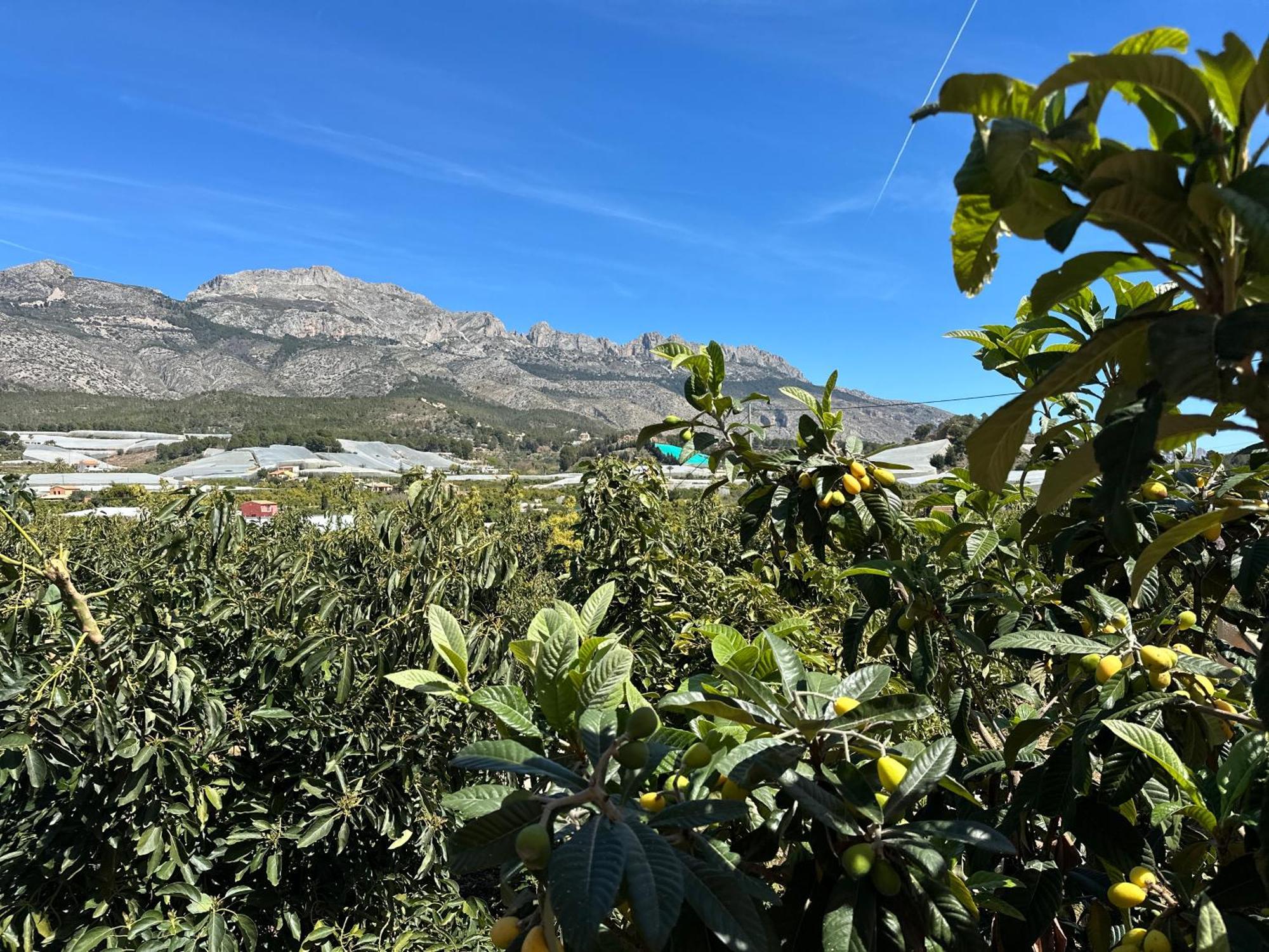 Casa Rural Altaret Callosa de Ensarriá Kültér fotó
