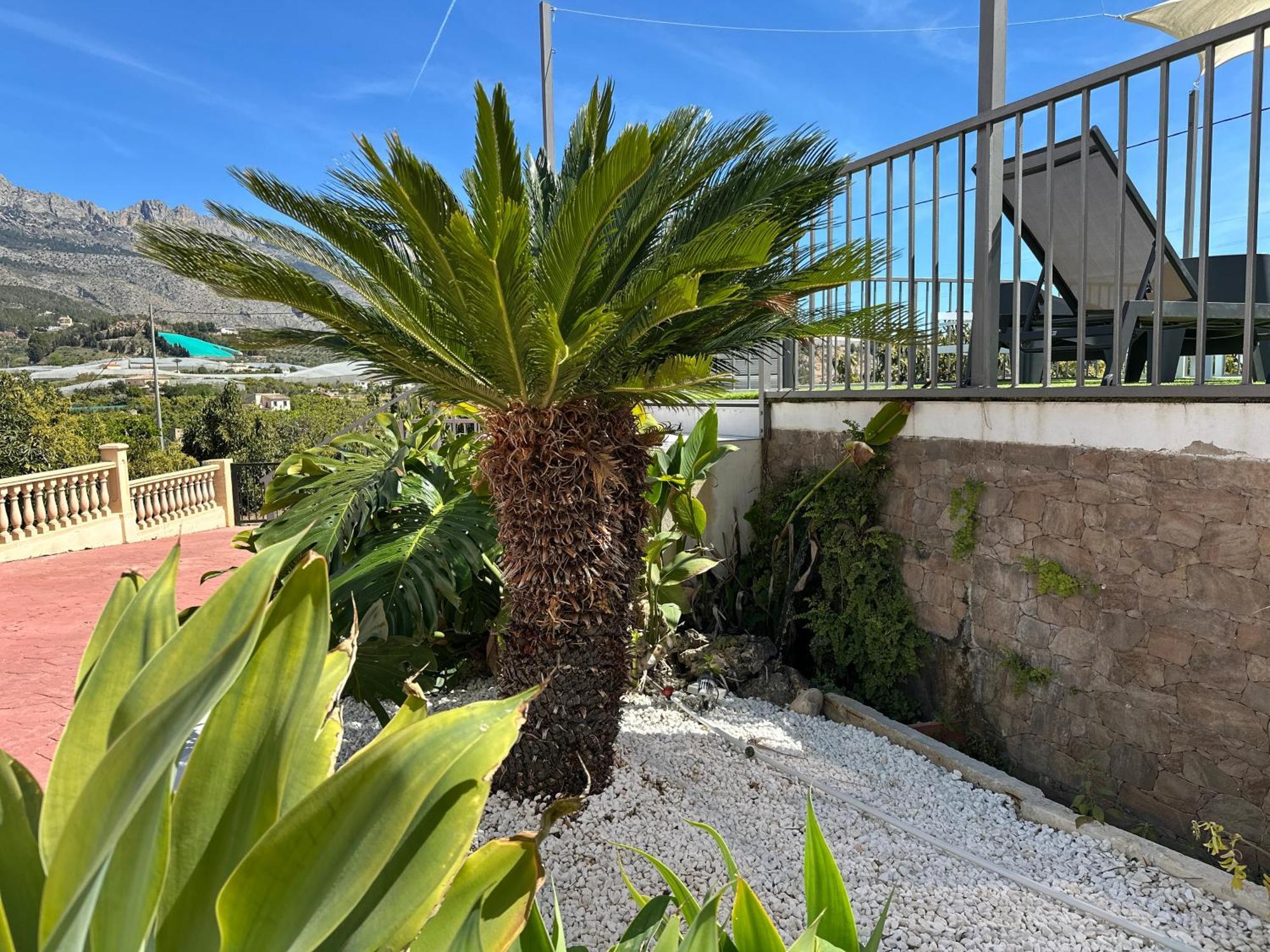 Casa Rural Altaret Callosa de Ensarriá Kültér fotó